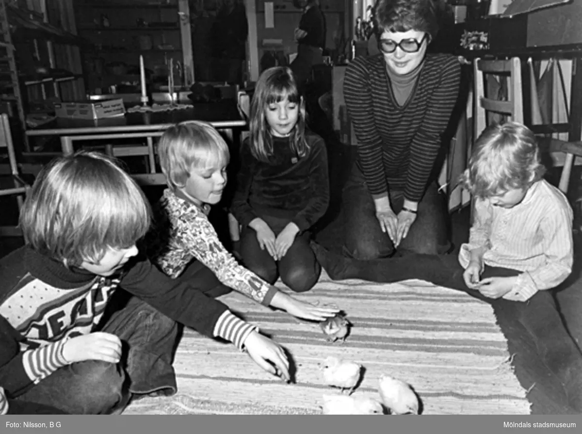 Några barn och en fröken klappar fyra kycklingar som går på en matta. Holtermanska daghemmet 1973.