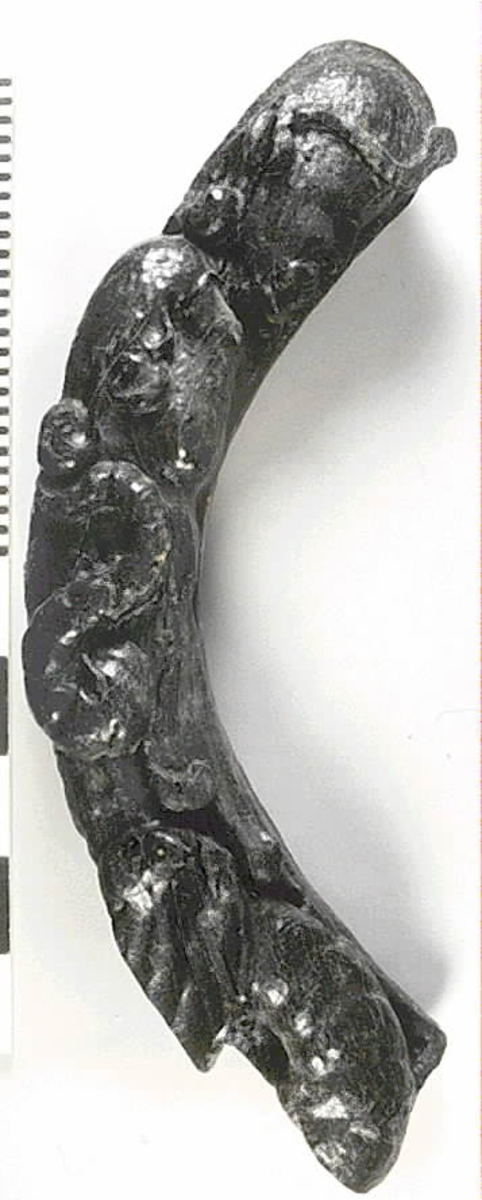 Skulptur av en triton, svängd mot vänster.
Figuren är framställd i högerprofil och avtecknar sig i hög relief mot  bakstycket. Tritonen har ett kraftigt ansikte, böjd näsa och treflikig mustasch. På huvudet sitter en bladsmyckad hjälm. Armarna är ersatta av långa, flikiga bladslingor. Bålens övergång i den fjällförsedda fiskstjärten markeras av stora bladbildningar. Stjärten döljs till största delen av den under liggande drakens ringlande stjärt och vinge, se fyndnummer 05967. På baksidan finns urtag för relingslisten.
Skulpturen är välbevarad.
Text i fyndliggaren:
Tre hak på baksidan.

Text in English: A sculpture of a Triton curved to the left.
The figure is presented in right profile and is seen in high relief against a plain back board. Powerful face with a curved nose and moustache divided into three parts. Leaf-decorated helmet. The arms are replaced by long, lobed leaf formations. The transition area between the male torso and the scaled fish-tail is decorated with large leaves. The rear is largely hidden by the coiled dragon tail and wing of the sculpture upon which the Triton rests, see No. 05967. On the back of the sculpture are notches which fit into the railing.
The sculpture is well preserved.