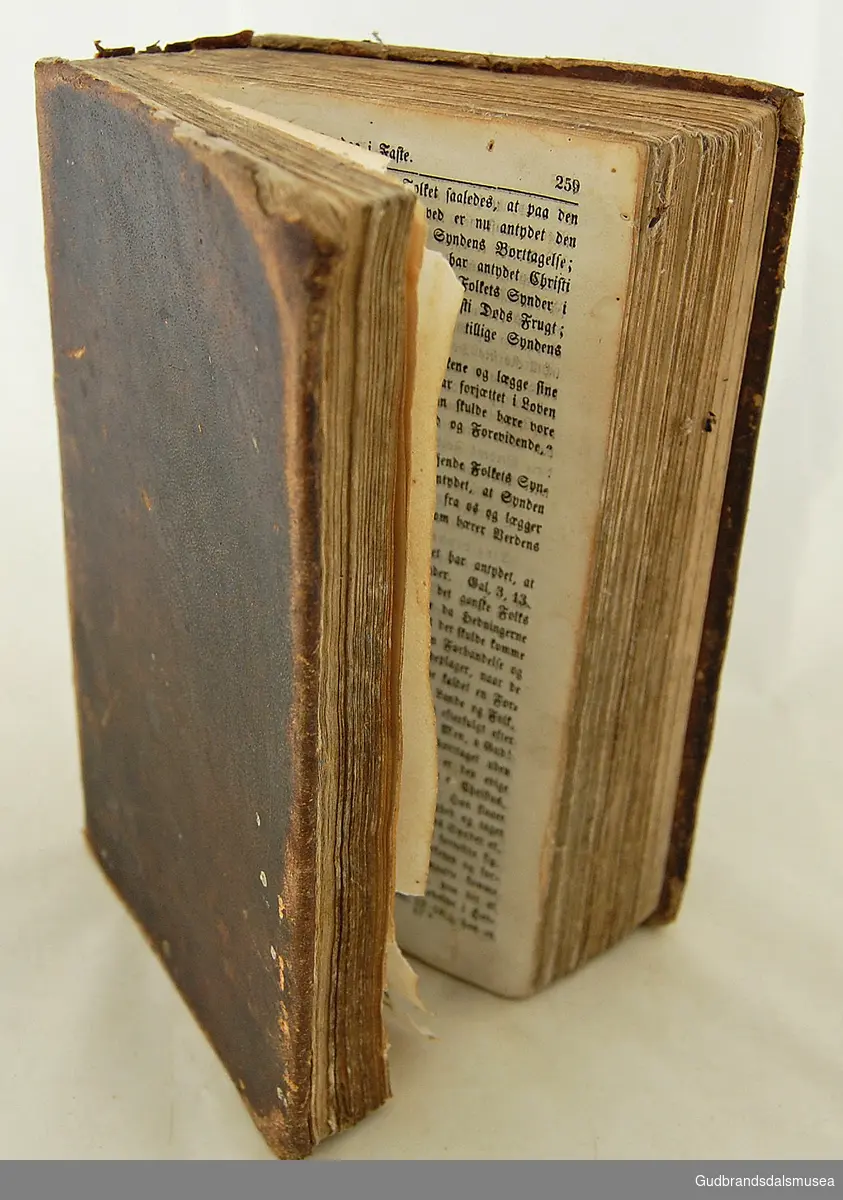Postille av den lutherske presten Johann Arndt. Boken er rektangulær, har 195 sider (Paginert 195), de første sidene er paginert med romertall.