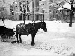 Vognmann ved Nationaltheatret