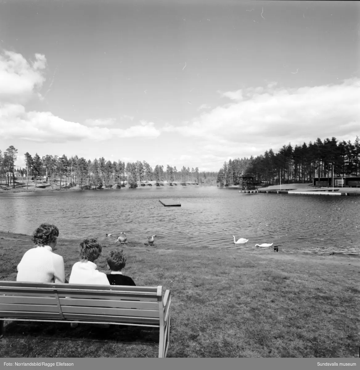 Vy över Vivstavarvstjärn med en familj på en parkbänk som tittar på ...