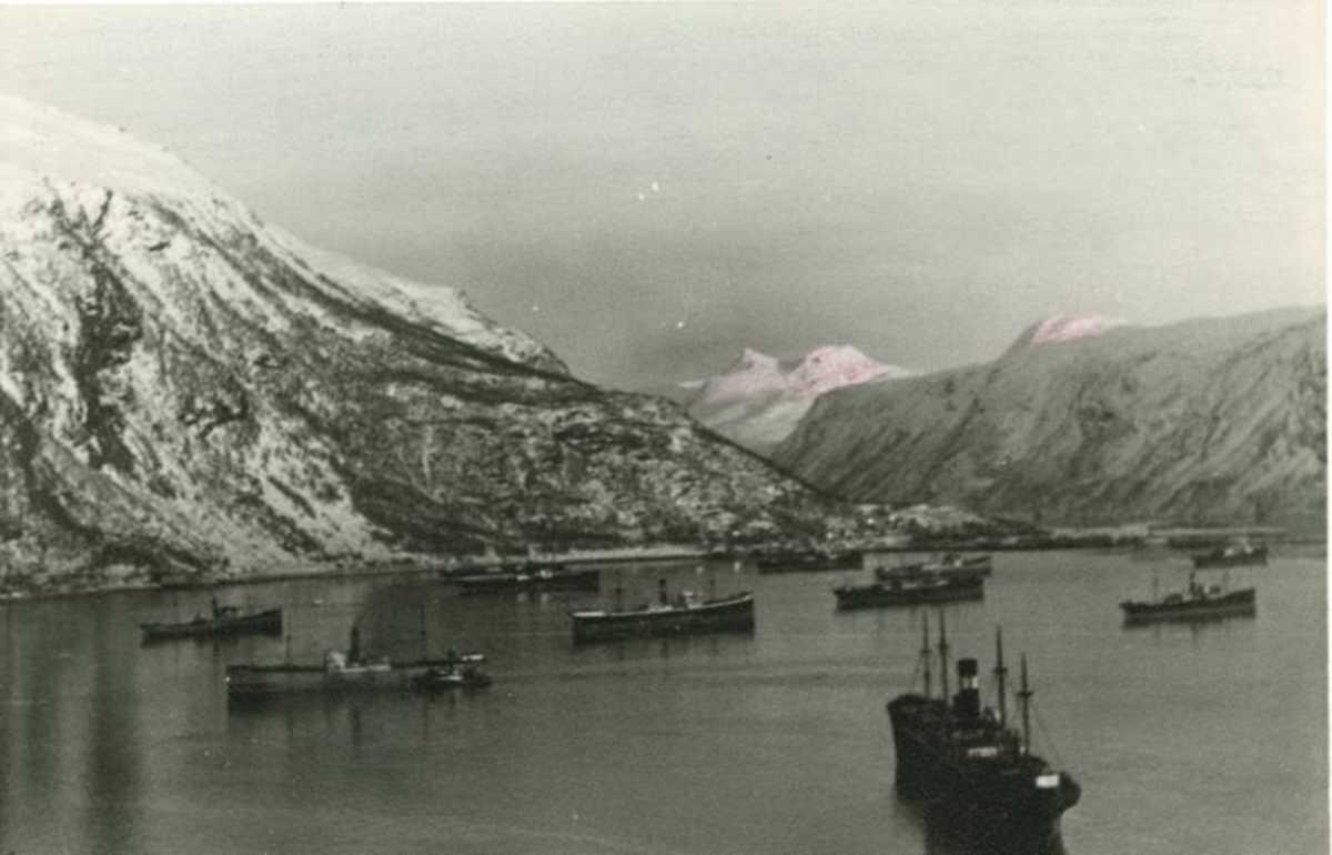 Narvik havn med 10 malmbåter på havna.  Fagernes og Beisfjordfjellene i bakgrunnen.