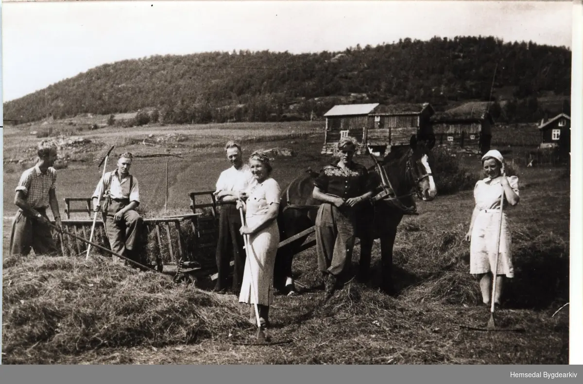 Frå garden Veslejordet i Lykkja i Hemsedal i 1941.
Frå venstre: Ukjend, Ukjend; Olaf Lillejordet; Ukjend, Ukjend; Karoline Lillejorde.
Dei ukjende er truleg byfolk.