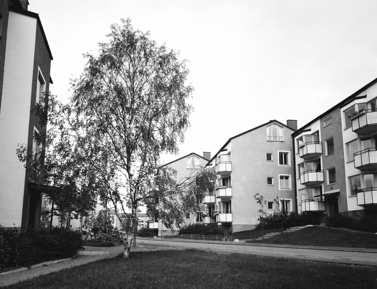 Flerbostadshus
Exteriör, bostadsområde, entré- och gavelfasader med högt lövträd.