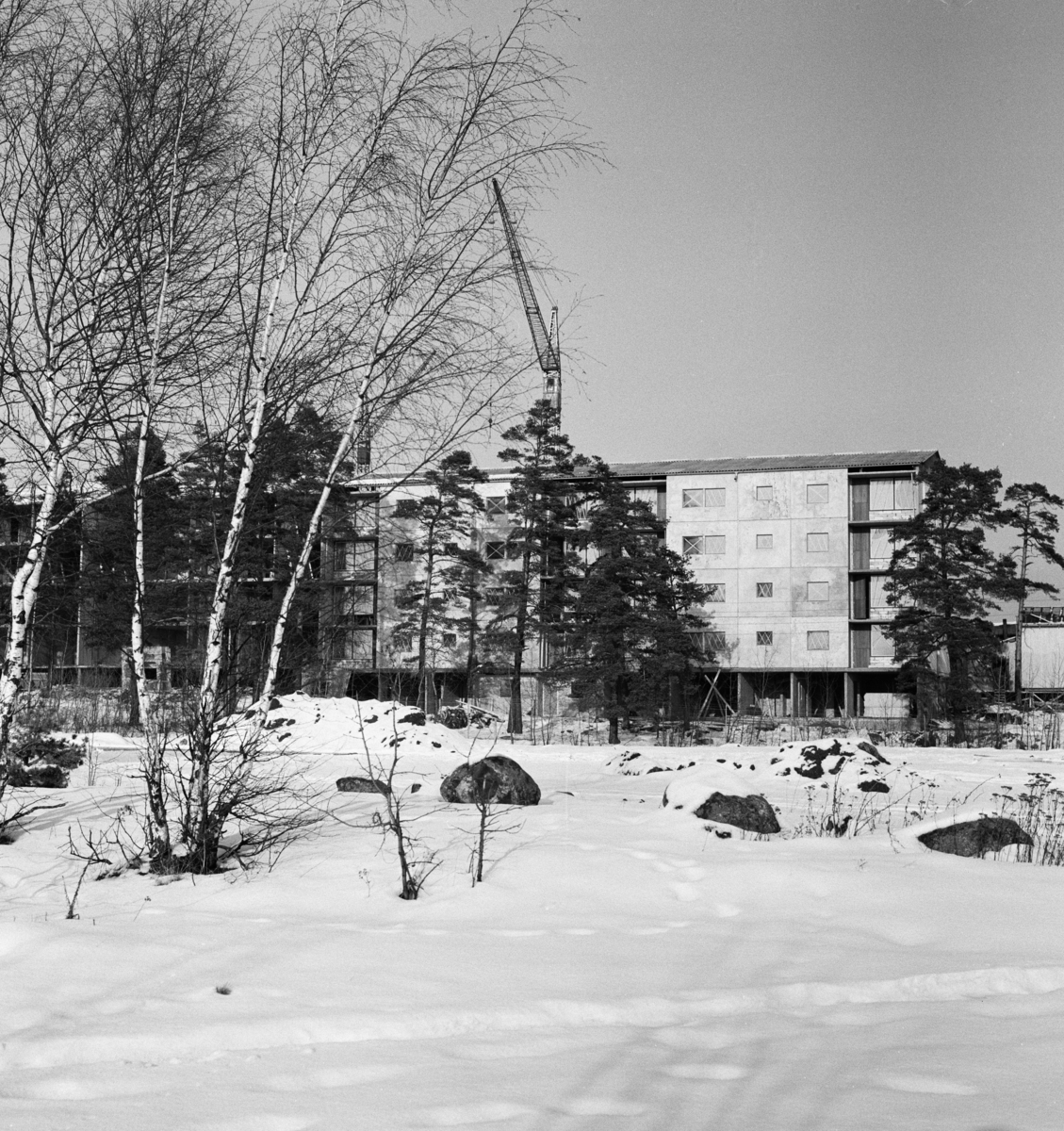 Bostadsområde
Exteriör, flerbostadshus i vinterlandskap med träd i förgrunden.