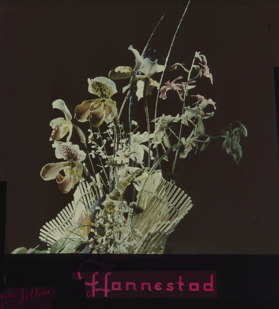 Kinoreklame fra 1950-1960-årene med Chr. Hannestad sin logo og blomsteroppsats med orkidèer.