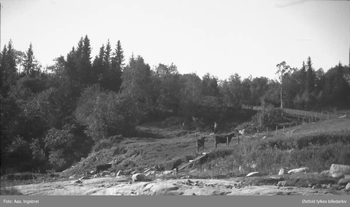 Tigelstø i Skiptvet , rester etter middelaldersk teglstensbrenneri for Valdisholm. Fotografert 1932. Ukjent kvinne står midt i bildet.