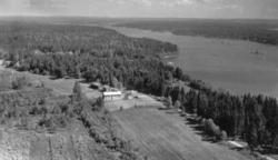 Oversiktsbilde over Karlsborg gartneri sett mot Årefjorden. 