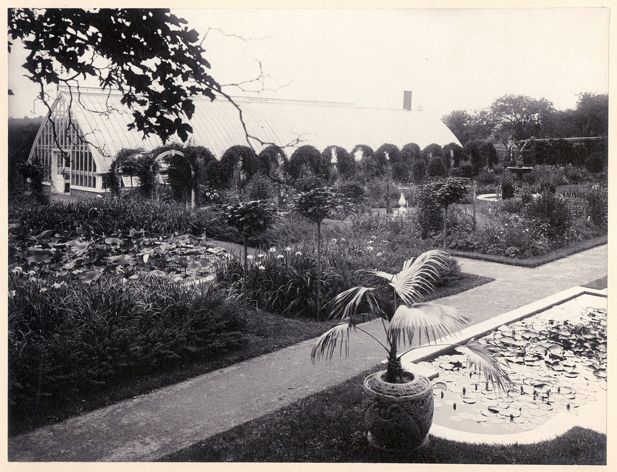 Fotografi från amerikanskt hem.


Bilden är tagen exterört över trädgården.