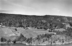 Glenne gård  i Skiptvet, flyfoto 20. juni  1957.
