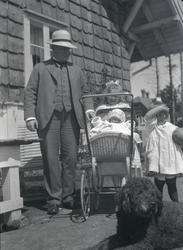 Holmeegenes, div. snapshots tatt på Holmeegenes.