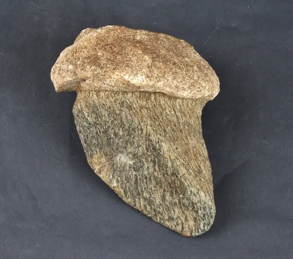 8,3 absolutte datering av stein og fossiler