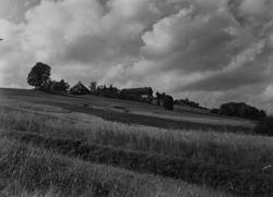 Motiv fra Gulset, Skien