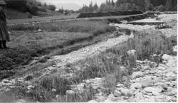 Oversvømmelse av aker ved Train i Hjartdøla, 1927