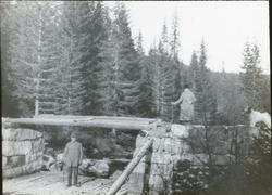 Åkrokdammen. Mann, kvinne og hund på tur
Åkrokdammen i Tver