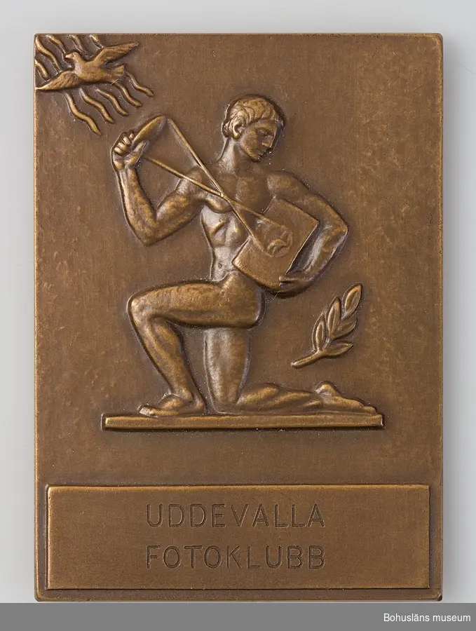 24 st medaljer/plaketter för pris i olika fototävlingar till Bo Seinknecht;  Mästartävlan, Riksfototävlingen, Uddevalla Fotoklubb, Västsvenska  mellan åren 1941 och 1959 .