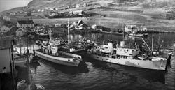 Nielsenverkstedet og Karl Hanssens verksted, med fartøyer i 