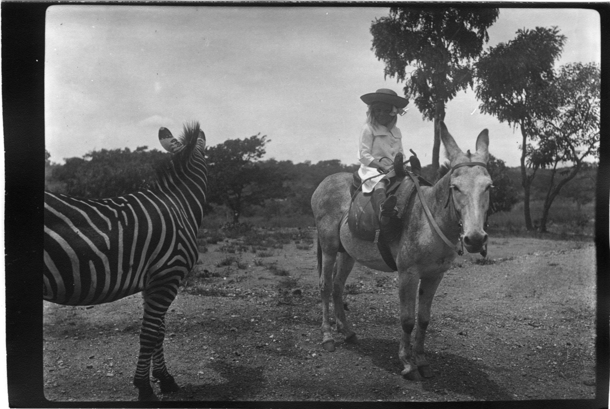 'Diverse fotografier från bl.a. dåvarande Nordrhodesia, nu Zambia, tagna av Konsul Magnus Leijer. ::  :: En flicka sittande på en åsna, hon ler och tittar in i kameran. Bredvid åsnan står en zebra. I bakgrunden är träd synliga.'