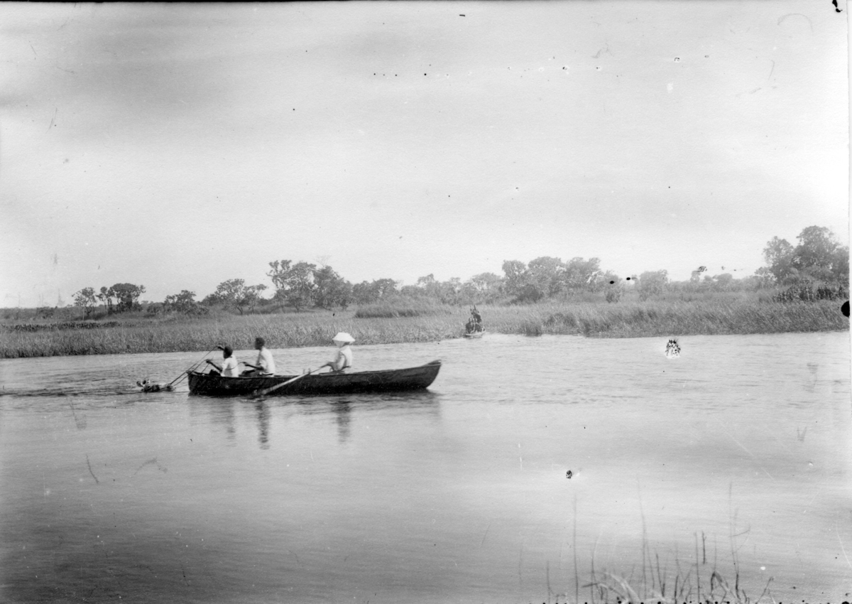 'Diverse fotografier från bl.a. dåvarande Nordrhodesia, nu Zambia, tagna av Konsul Magnus Leijer. ::  :: 2 båtar i vatten, land och gräs i bakgrunden. En kvinna ror en av båtarna, 2 män i den släpar något i vattnet.'
