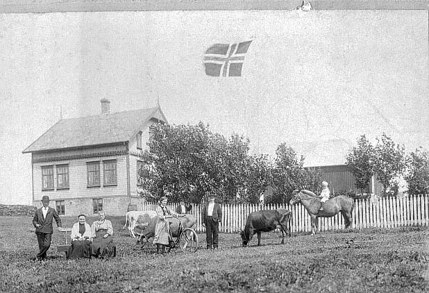 Lars Hansen Grønhaugs tun ca. 1908.  Personene er fotograferte på gressbakken sammen med tre kyr og en hest. I bakgrunnen til venstre vånigshuset. Hagen som er inngjerdet til høyre. Flagget til topps midt på bildet.