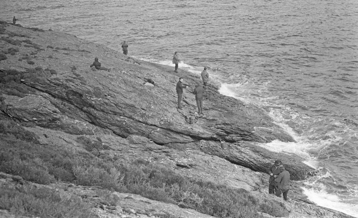 Fiskekonkurranse - Brattestø - 1968.
