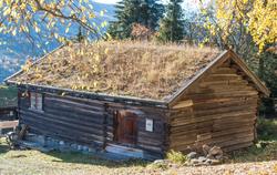 Stasstugu, Tingstugu på Ål Bygdamuseum, Leksvol