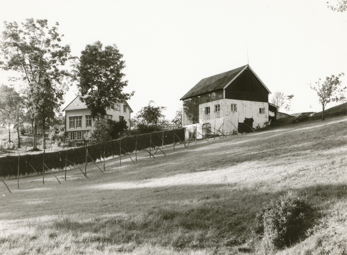 Prospektfotografi av gården Nymarka med våningshus og hesje.