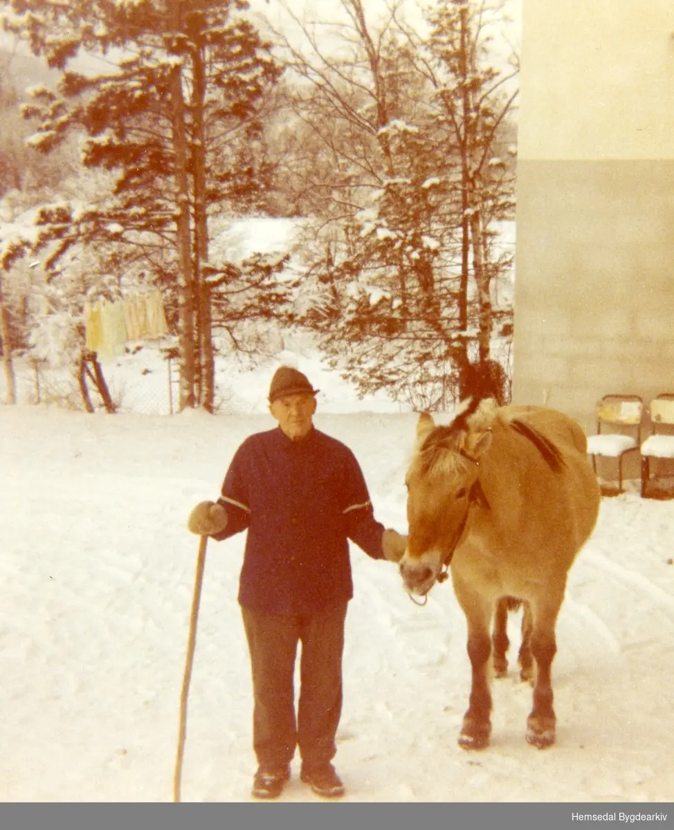 Store-Ola Kirkebøen, fødd 1886, skal levera siste hesten han hadde, på slakteriet i Hemsedal.