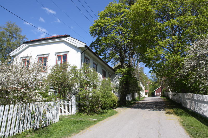 Hus og hager i Storgata, Øvrebyen, i vårblomstring