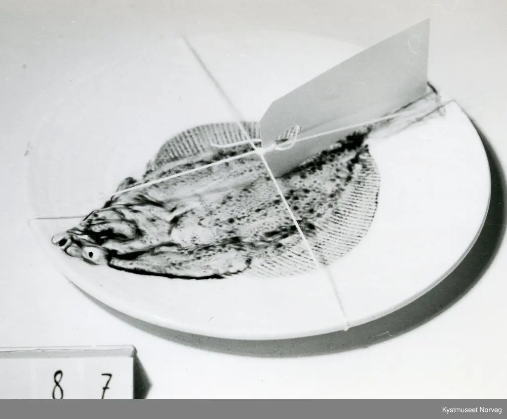 Kurvmønster, flyndre