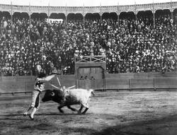 Tyrefægtning. Mexico