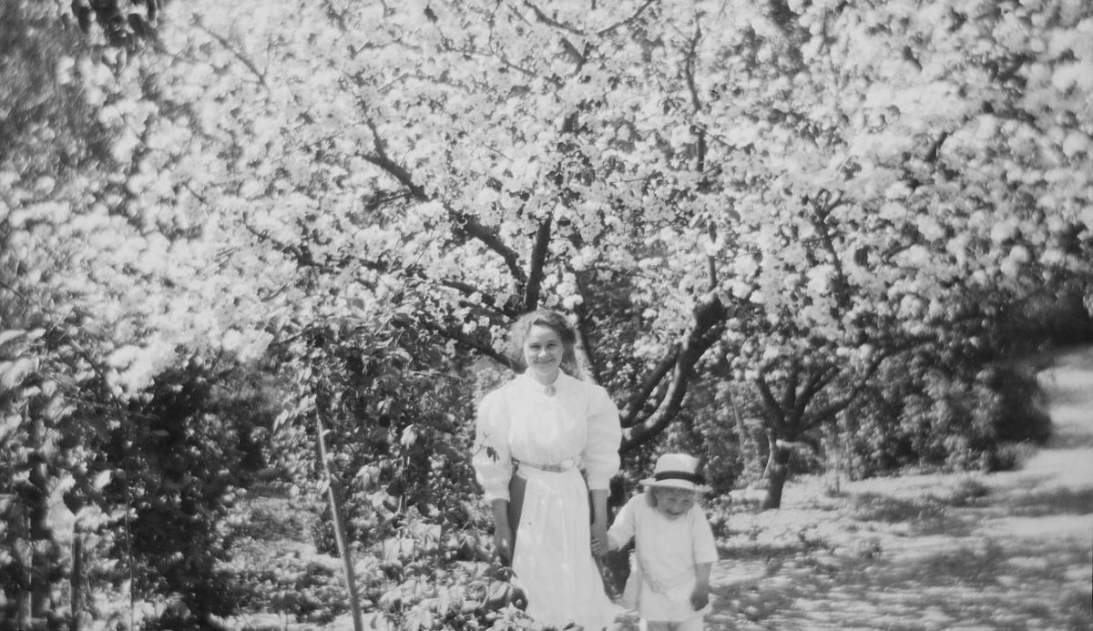 En smilende kvinne og en leende Iacob Ihlen Mathiesen står foran blomstrende frukttrær.