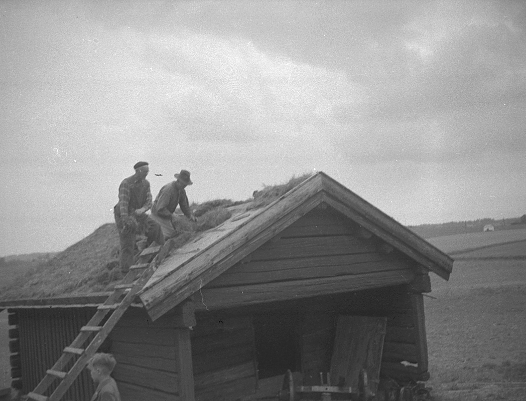 Fjugesta hembygdsgård, takläggning.
bilden tagen år 1954.