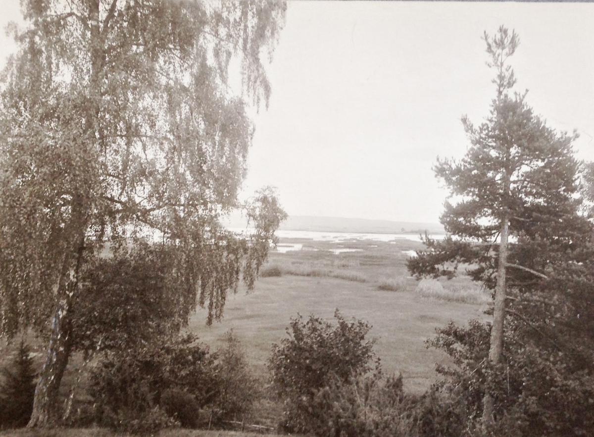 Strandparti från Ore backar mellan Degenäs och Trädstena. I bakgrunden Billingen. Skaraborgs län.