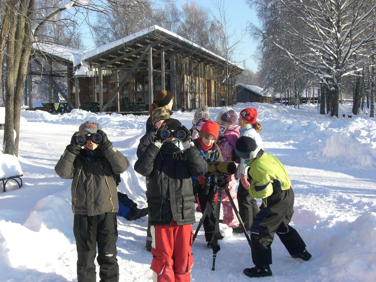 Foto av barn som ser etter fugl i kikkert om vinteren