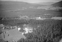 Dovrefjell Hotel, Dombås, Dovre, 15.09.1953, gårder, jordbru