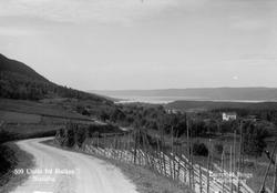 Prospektkort nr. 509. Brandbu. Bleiken.