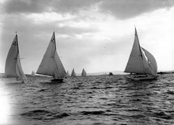 Seilbåter i regatta. 'Oslo' (6 N 17), 'Elisabeth 4' og 'Flak