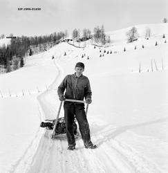 Mann med vedlass på skikjelke.  Fotografiet er tatt på et sn