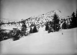Fefor kampen  12.03.1914, fjell, gård, vinter, grantrær