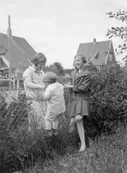 Tre piker ved et gjerde.