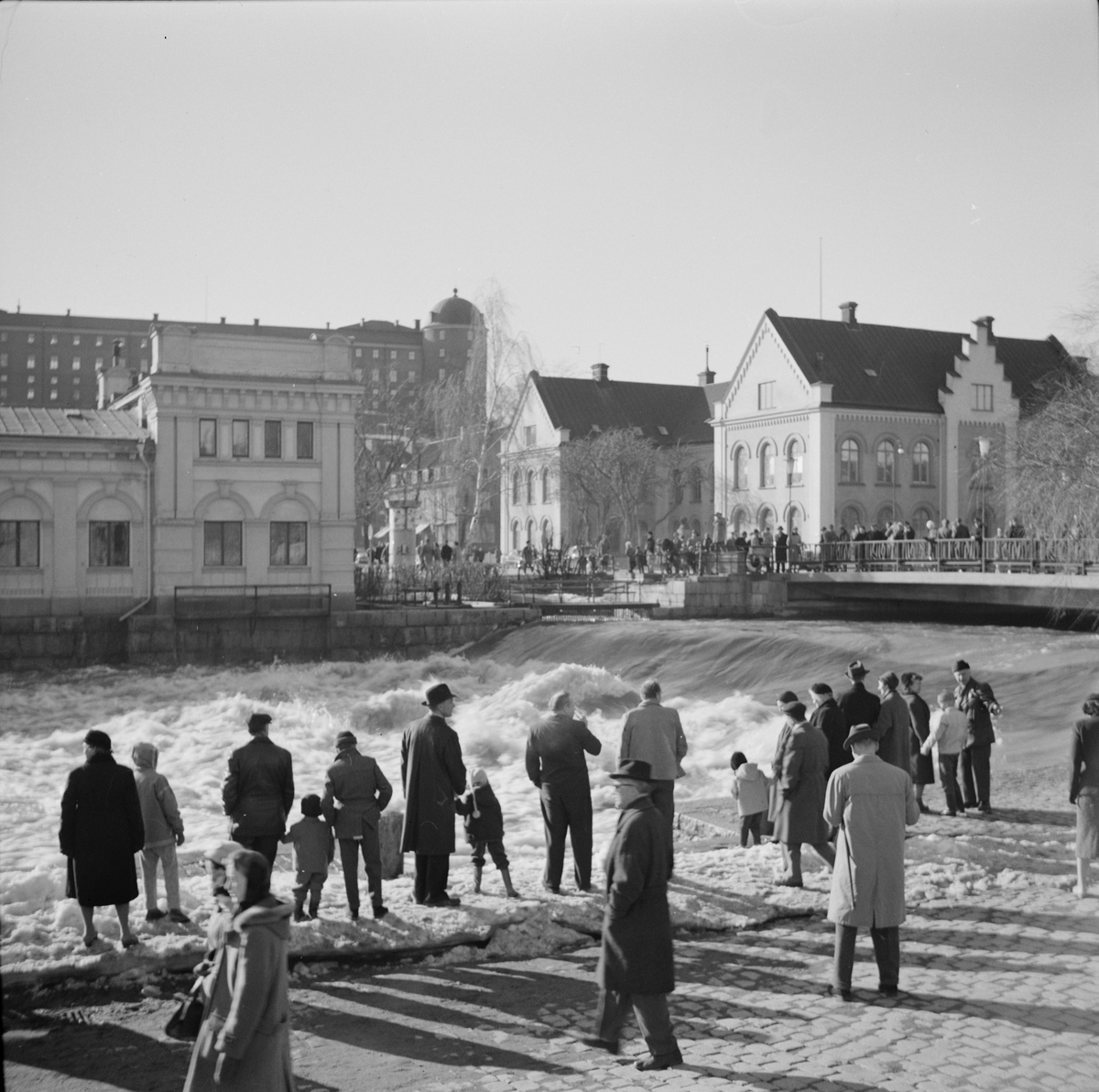 Vårflod, Uppsala 1959