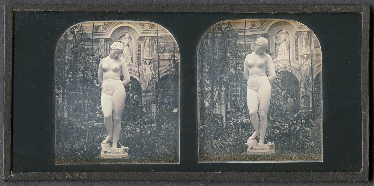 Stereoskopisk daguerreotyp med motiv av skulptur i Crystal Palace vid Världsutställningen i London efter dess flytt till Sydenham 1854 då Negretti and Zambra fick fick exklusiv rätt att fotografera utställningen.