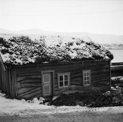 Naustvegg av båtbord i prosessen i å bli tatt ned. Flyttet f