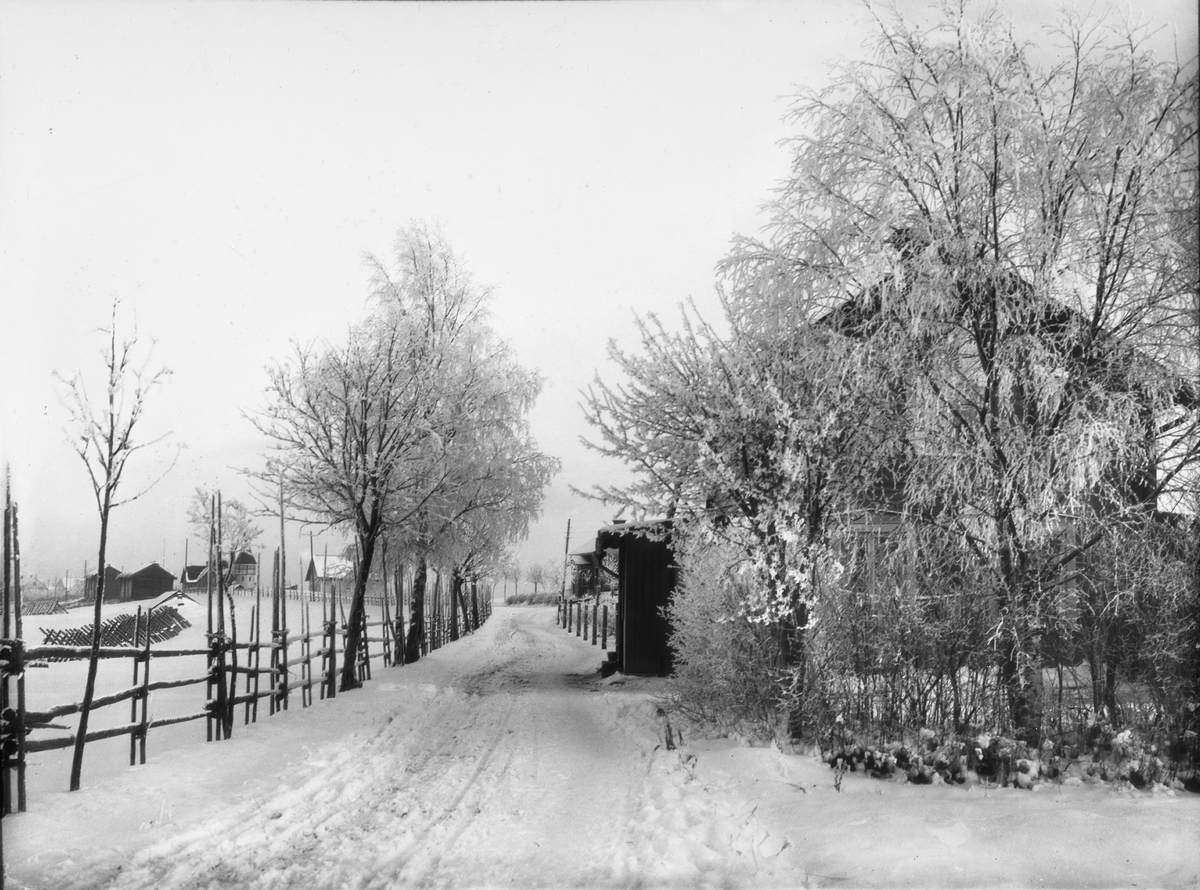 Diapostiv, fönsterbild av vinterlandskap, snötäckt landsväg.