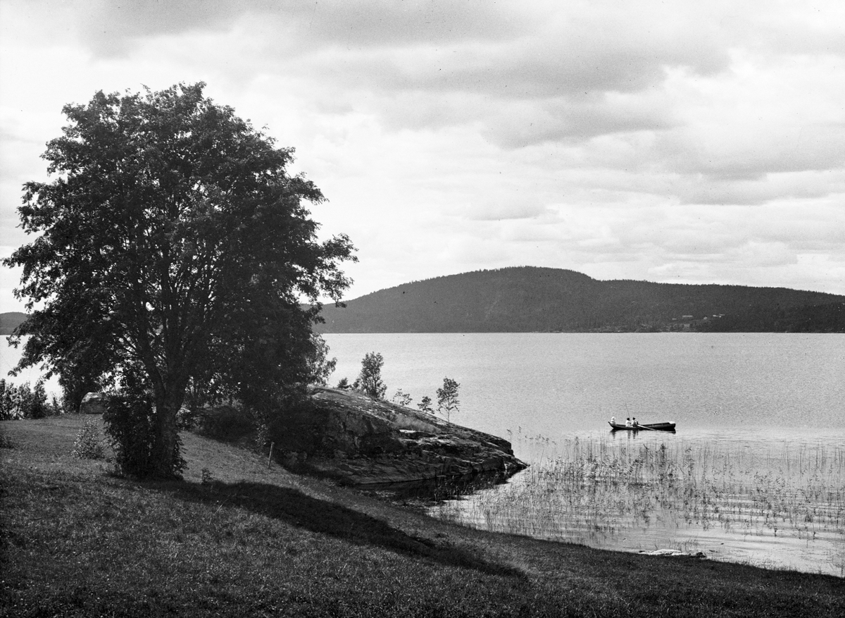 Diapositiv med motiv av lvy över sjö, troligen i Hedemoratrakten, möjligen sjön Hunsan. Sällskap i roddbåt.