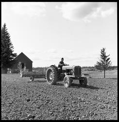 Jordbruk. På våren.