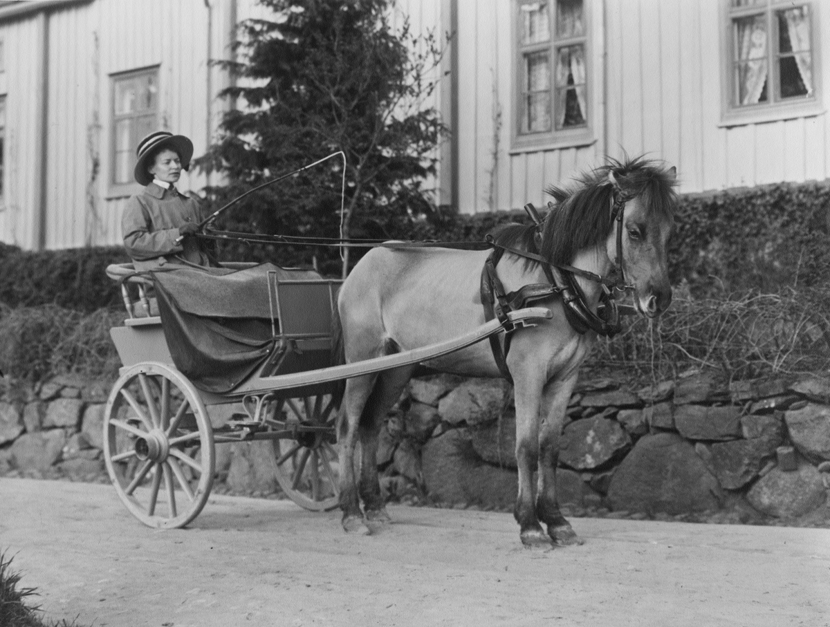 Fru Pelle Malmborg, född Egnell, med häst och vagn i Gränna.