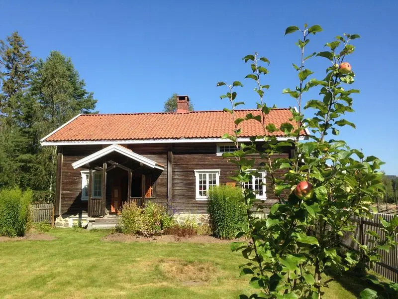 Hagen foran Storbråtenhuset med både vakre og nyttige vekster. Sommer.