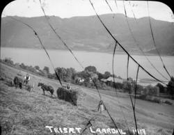 Fotosamling etter Hans Tveito. "Høyonn på Trisæt. Fra venstr
